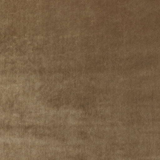 KRAVET COUTURE - NEW ELEGANCE- CAMEL - Fabric by the Yard CAMEL