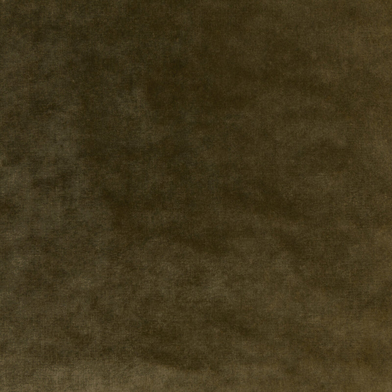 KRAVET COUTURE - REGAL VELVET- OLIVE - Fabric by the Yard OLIVE