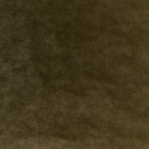 KRAVET COUTURE - REGAL VELVET- OLIVE - Fabric by the Yard OLIVE