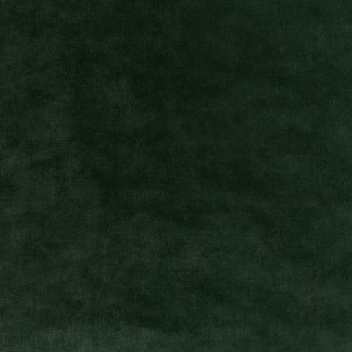 KRAVET COUTURE - REGAL VELVET- SAGE - Fabric by the Yard SAGE