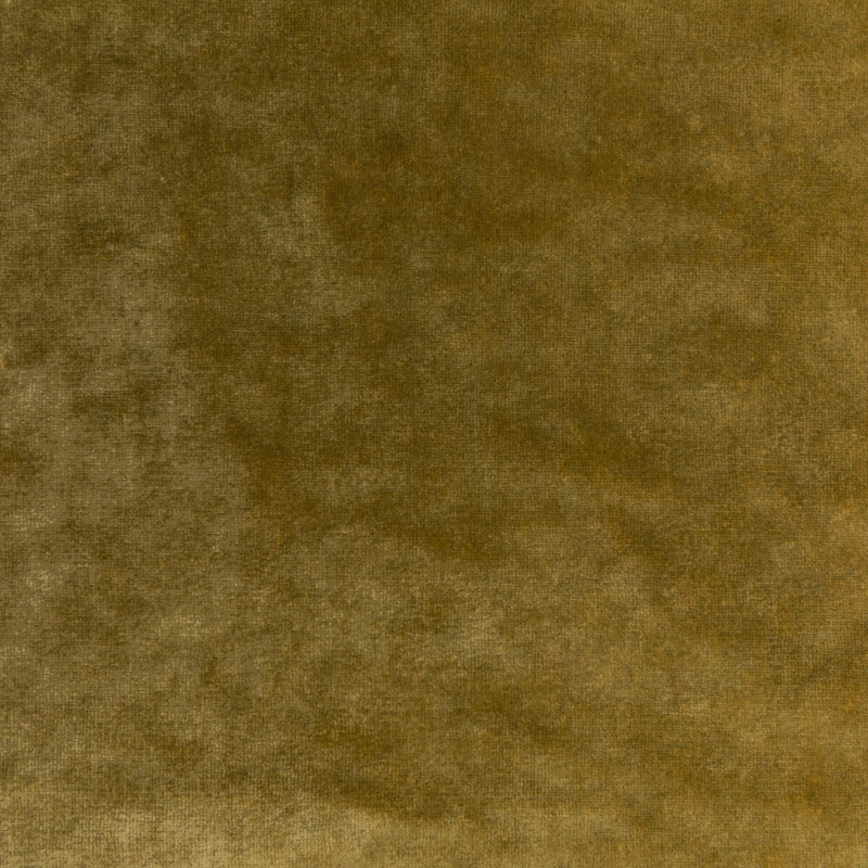 KRAVET COUTURE - REGAL VELVET- OCHRE - Fabric by the Yard OCHRE