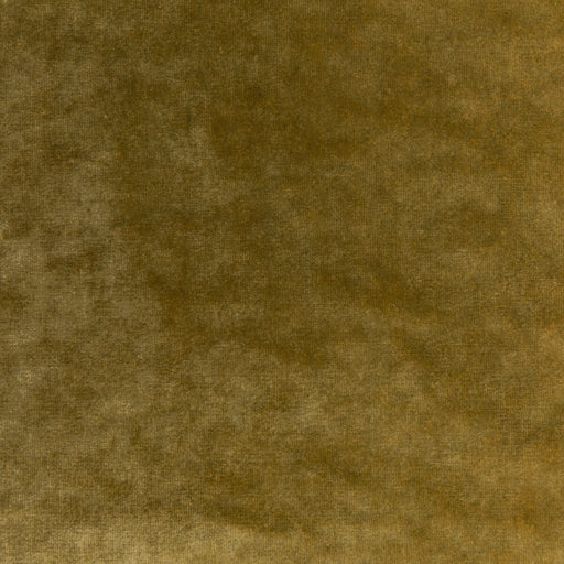 KRAVET COUTURE - REGAL VELVET- OCHRE - Fabric by the Yard OCHRE