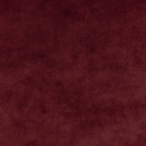KRAVET COUTURE - REGAL VELVET- RUBY - Fabric by the Yard RUBY