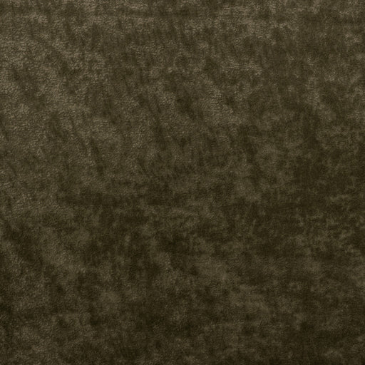 KRAVET COUTURE - TRIUMPHANT- TRUFFLE - Fabric by the Yard TRUFFLE