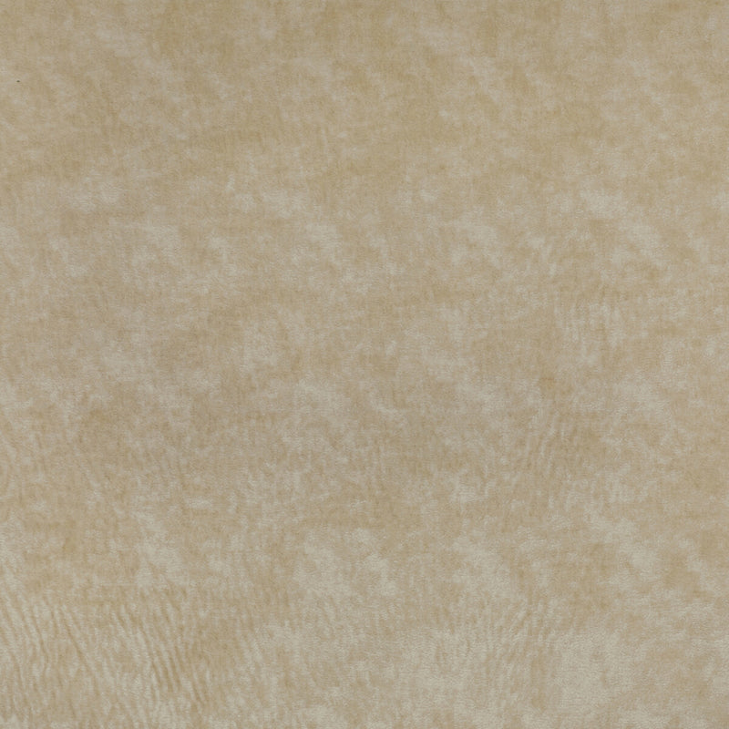 KRAVET COUTURE - TRIUMPHANT- CREME - Fabric by the Yard CREME