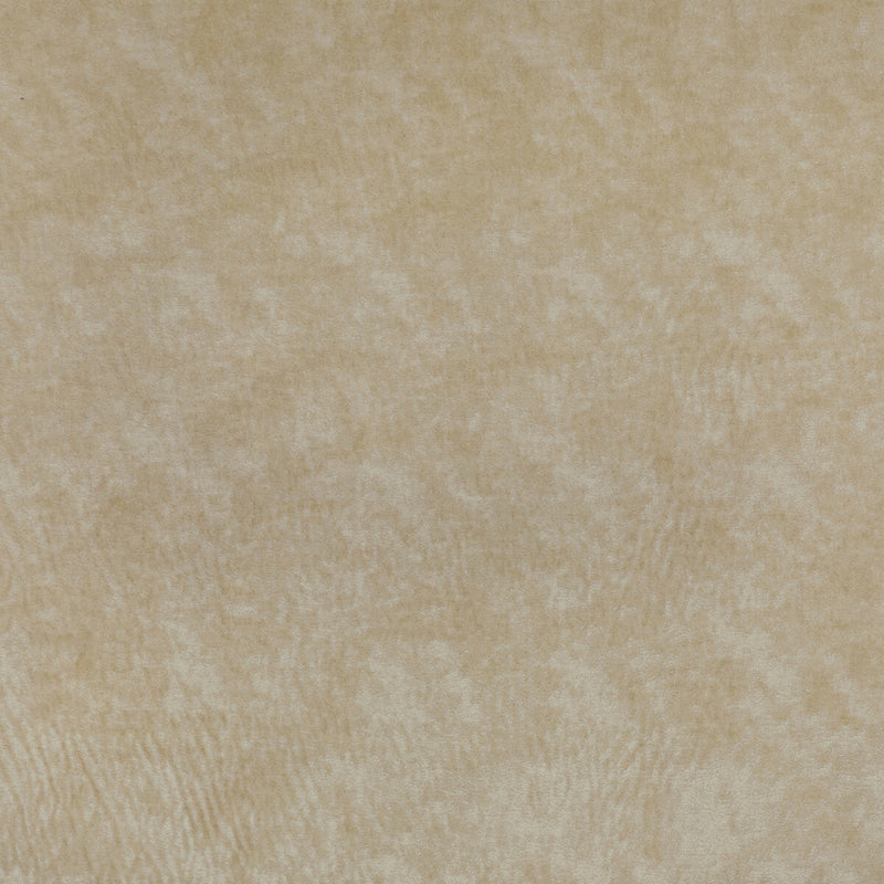 KRAVET COUTURE - TRIUMPHANT- CREME - Fabric by the Yard