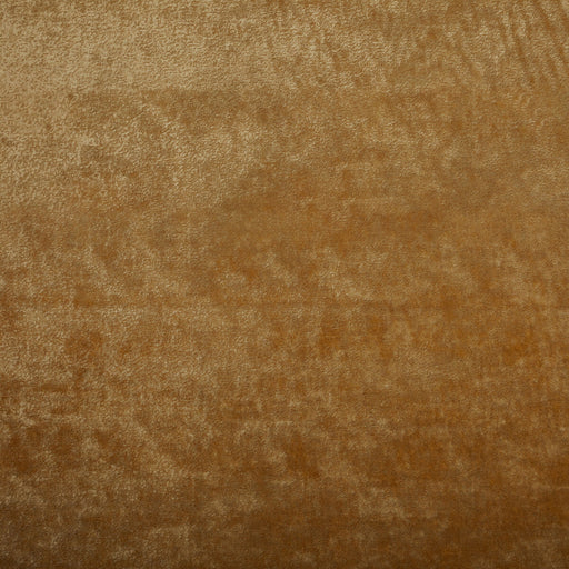 KRAVET COUTURE - TRIUMPHANT- TUSCAN - Fabric by the Yard TUSCAN