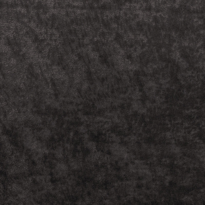 KRAVET COUTURE - TRIUMPHANT- GRAPHITE - Fabric by the Yard GRAPHITE
