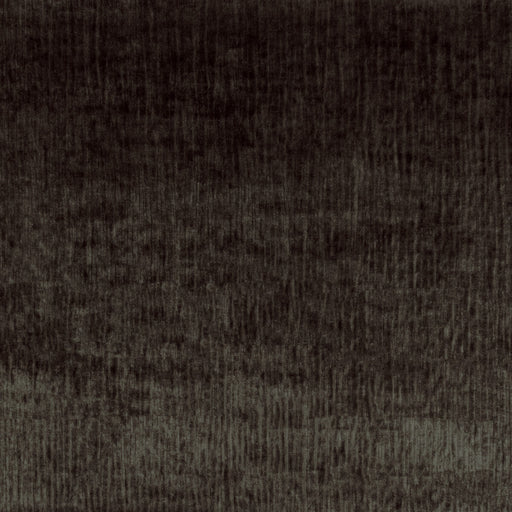 KRAVET COUTURE - MAJESTY VELVET- TRUFFLE - Fabric by the Yard TRUFFLE