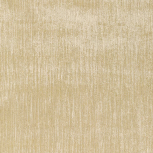 KRAVET COUTURE - MAJESTY VELVET- CREAM - Fabric by the Yard CREAM