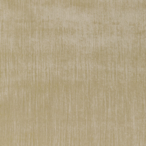 KRAVET COUTURE - 36066 - MAJESTY VELVET - Fabric By the Yard