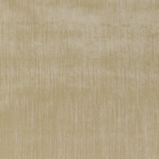 KRAVET COUTURE - MAJESTY VELVET- STONE - Fabric by the Yard STONE