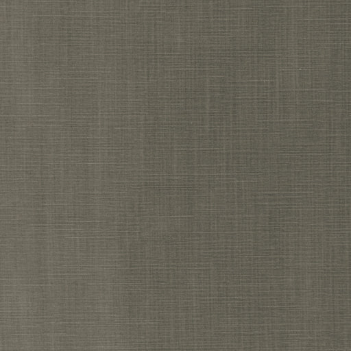 KRAVET COUTURE - 36067 - GENTRY VELVET - Fabric By the Yard