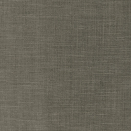 KRAVET COUTURE - GENTRY VELVET- PLATINUM - Fabric by the Yard PLATINUM