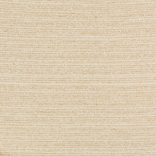 KRAVET DESIGN - KRAVET DESIGN- 36079-161 - Fabric by the Yard 36079-161