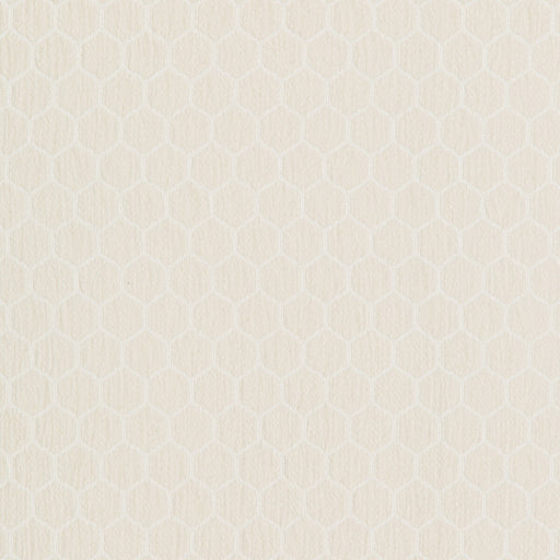 KRAVET DESIGN - KRAVET DESIGN- 36081-1116 - Fabric by the Yard 36081-1116