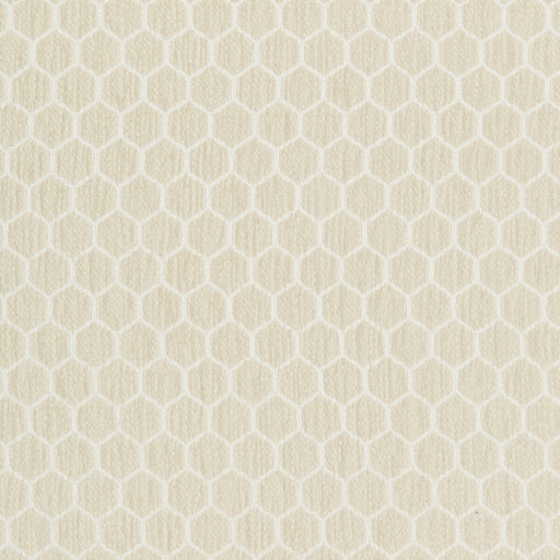 KRAVET DESIGN - KRAVET DESIGN- 36081-161 - Fabric by the Yard 36081-161