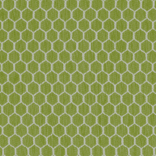 KRAVET DESIGN - KRAVET DESIGN- 36081-23 - Fabric by the Yard 36081-23