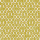 KRAVET DESIGN - KRAVET DESIGN- 36081-314 - Fabric by the Yard