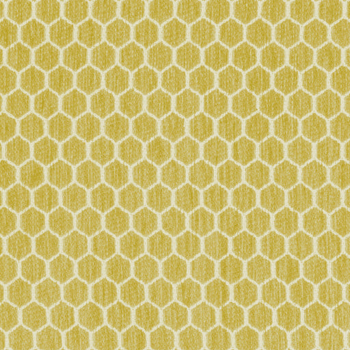 KRAVET DESIGN - KRAVET DESIGN- 36081-314 - Fabric by the Yard 36081-314