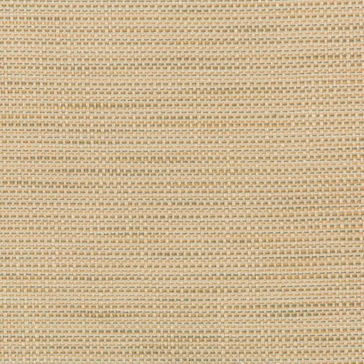 KRAVET DESIGN - KRAVET DESIGN- 36082-106 - Fabric by the Yard 36082-106