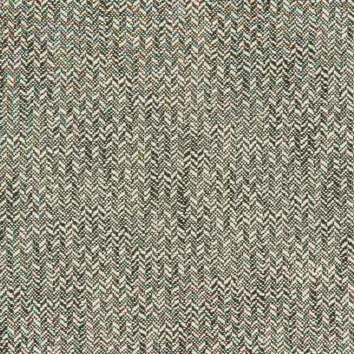 KRAVET DESIGN - KRAVET DESIGN- 36089-21 - Fabric by the Yard 36089-21
