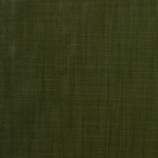 KRAVET DESIGN - KRAVET DESIGN- 36096-34 - Fabric by the Yard 36096-34