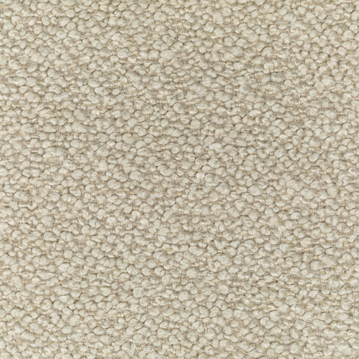 KRAVET COUTURE - 36098 - BURWICK - Fabric By the Yard