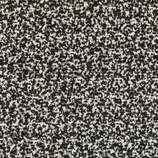 KRAVET COUTURE - FLYING HIGH- IVORY NOIR - Fabric by the Yard IVORY NOIR