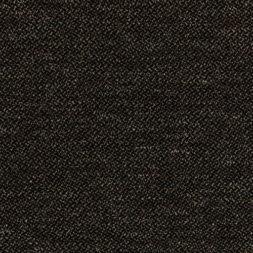 KRAVET COUTURE - FASHION HOUSE- ANTHRACITE - Fabric by the Yard ANTHRACITE