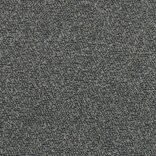 KRAVET DESIGN - KRAVET DESIGN- 36115-21 - Fabric by the Yard 36115-21