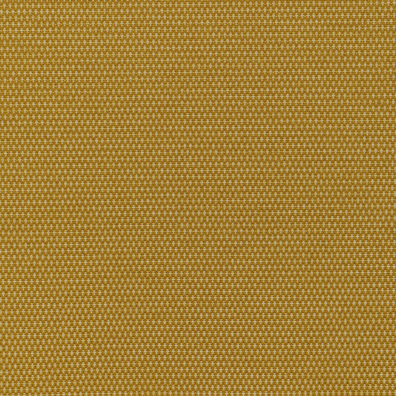 KRAVET CONTRACT - MOBILIZE- MIDAS - Fabric by the Yard MIDAS