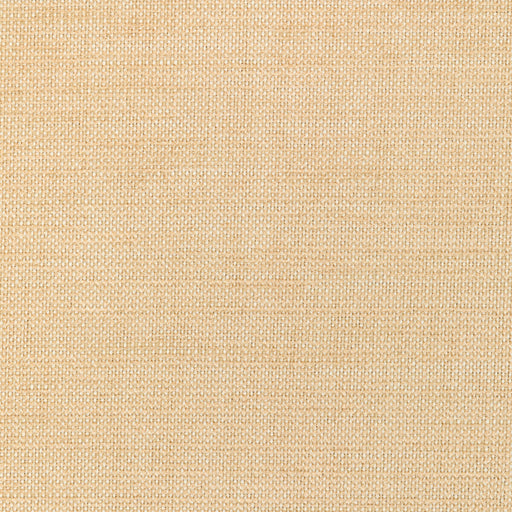 KRAVET SMART - KRAVET SMART- 36302-116 - Fabric by the Yard 36302-116