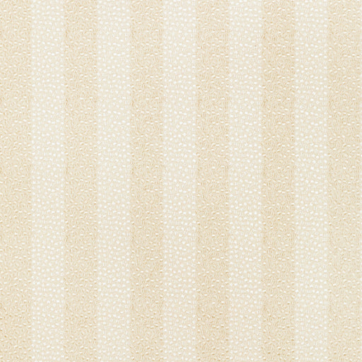 KRAVET COUTURE - PROXIMITY- CREAM - Fabric by the Yard CREAM