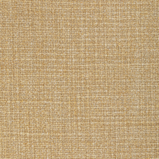 KRAVET COUTURE - 36383 - VENTURENO - Fabric By the Yard