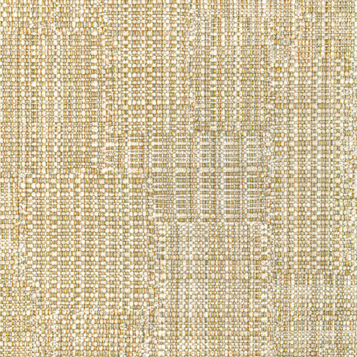 KRAVET COUTURE - SEEDBED- GOLDEN OLIVE - Fabric by the Yard GOLDEN OLIVE