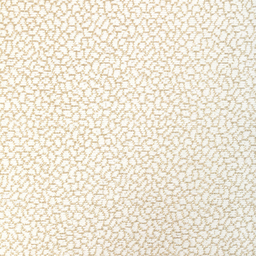KRAVET DESIGN - KRAVET DESIGN- 36421-161 - Fabric by the Yard 36421-161