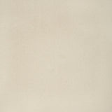 KRAVET CONTRACT - FOMO- FOSSIL - Fabric by the Yard