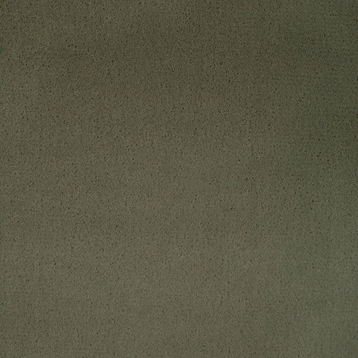 KRAVET CONTRACT - FOMO- FENNEL - Fabric by the Yard FENNEL