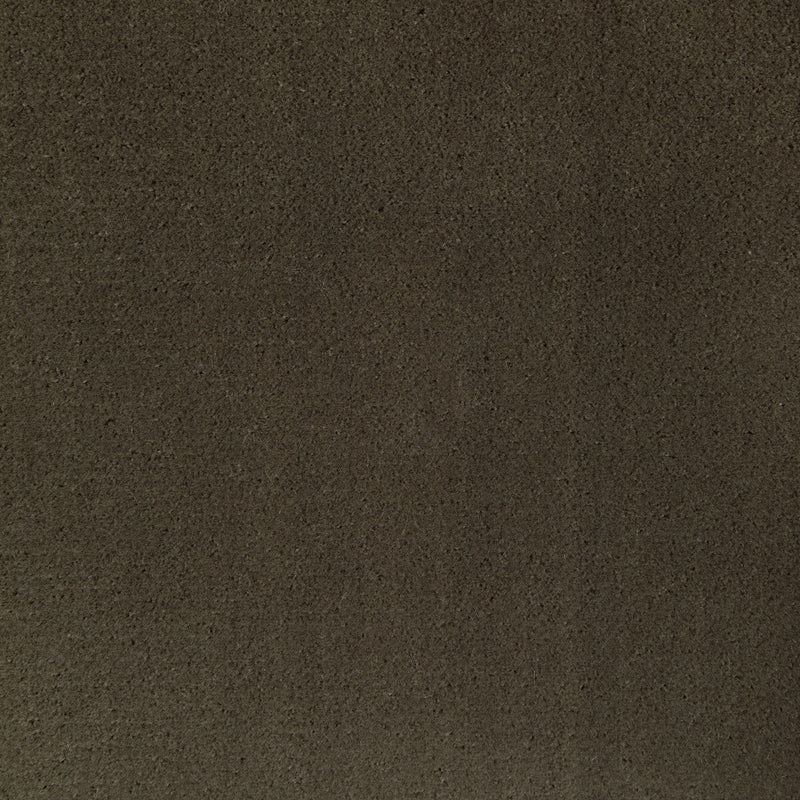 KRAVET CONTRACT - FOMO- ETRUSCAN - Fabric by the Yard ETRUSCAN