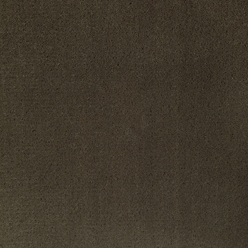 KRAVET CONTRACT - FOMO- ETRUSCAN - Fabric by the Yard ETRUSCAN