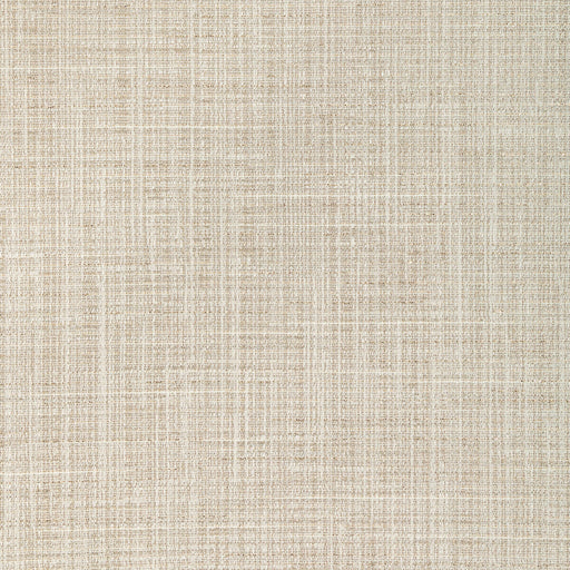 KRAVET COUTURE - SOFT LIGHTS- CHAMPAGNE - Fabric by the Yard CHAMPAGNE