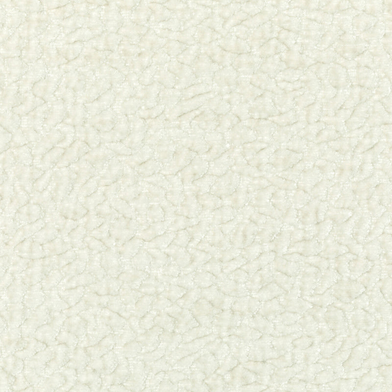 KRAVET COUTURE - KRAVET COUTURE- 36596-101 - Fabric by the Yard 36596-101
