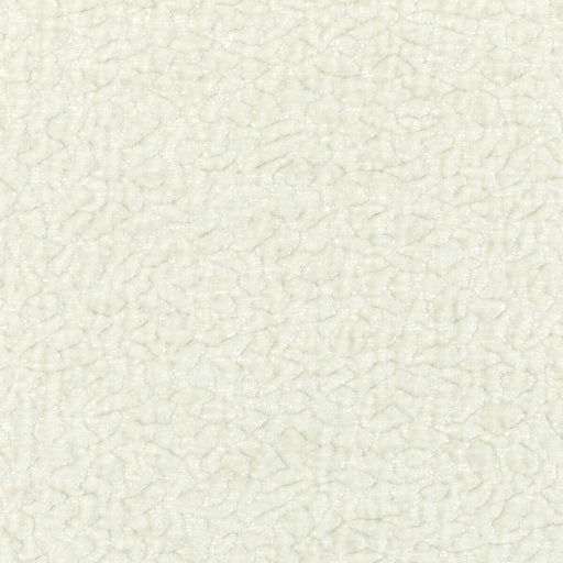 KRAVET COUTURE - KRAVET COUTURE- 36596-101 - Fabric by the Yard 36596-101