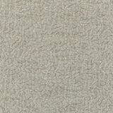 KRAVET COUTURE - KRAVET COUTURE- 36596-111 - Fabric by the Yard