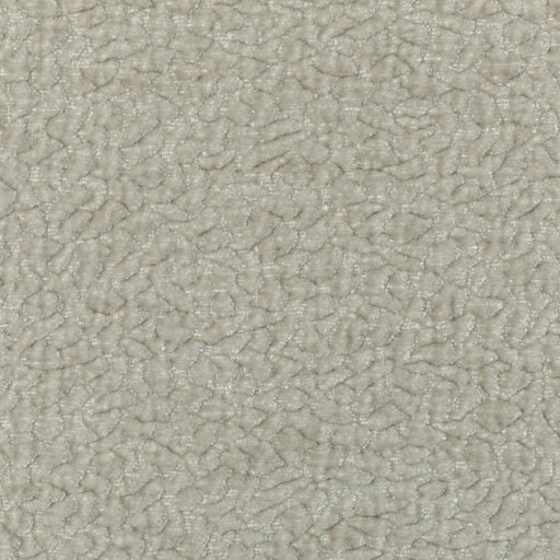 KRAVET COUTURE - KRAVET COUTURE- 36596-111 - Fabric by the Yard 36596-111