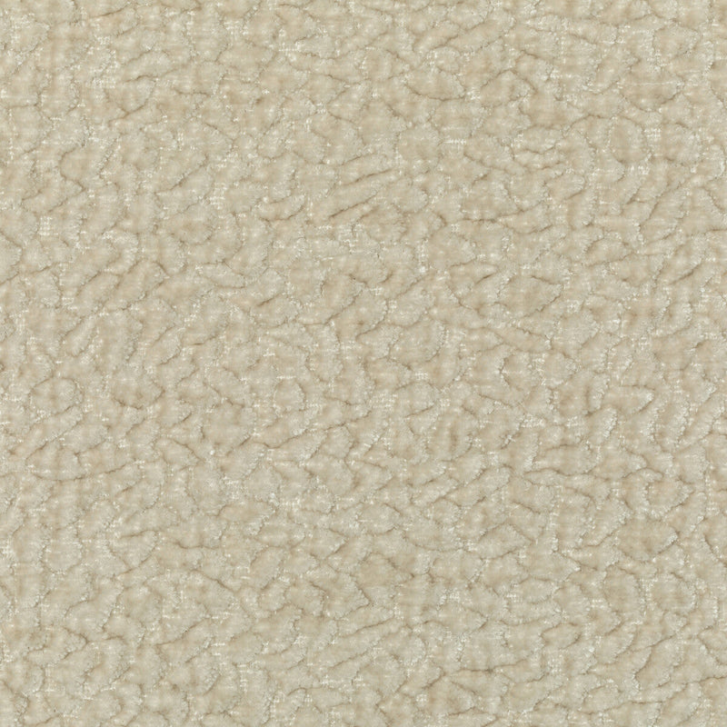 KRAVET COUTURE - KRAVET COUTURE- 36596-1 - Fabric by the Yard 36596-1