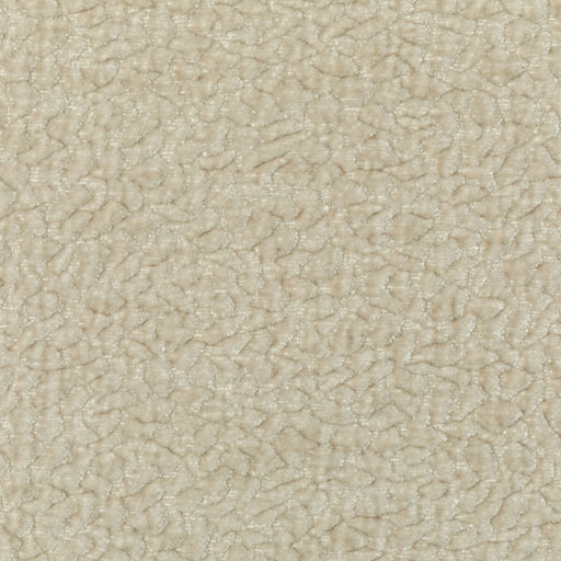 KRAVET COUTURE - KRAVET COUTURE- 36596-1 - Fabric by the Yard 36596-1
