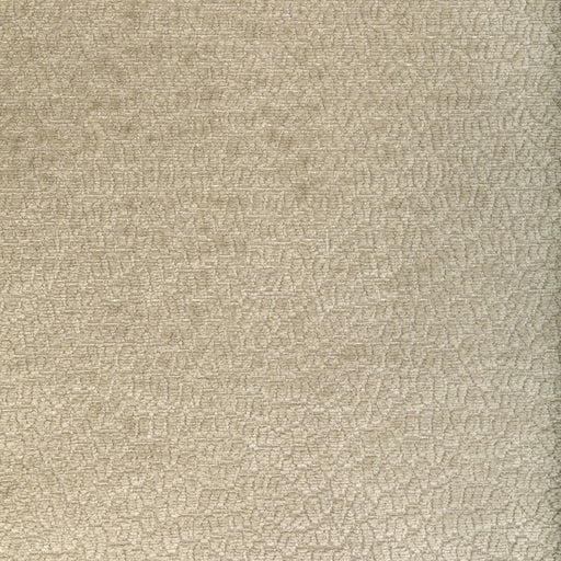 KRAVET SMART - KRAVET SMART- 36606-1611 - Fabric by the Yard 36606-1611
