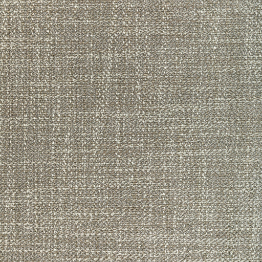 KRAVET COUTURE - KRAVET COUTURE- 36612-1101 - Fabric by the Yard 36612-1101